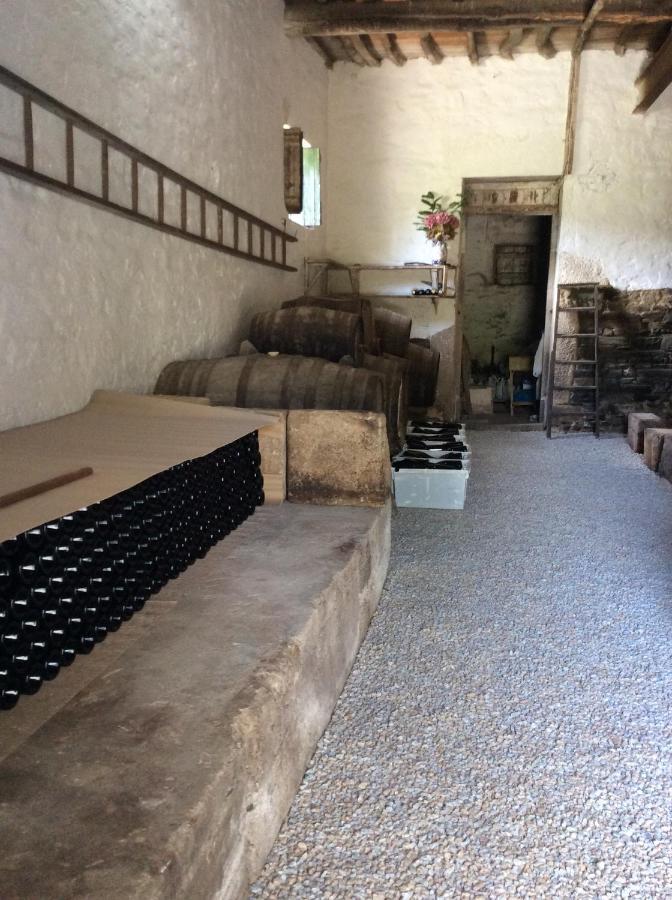 Quinta Do Fojo * Lamego