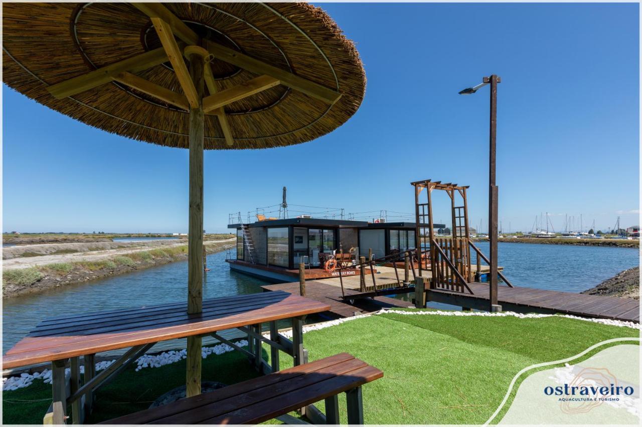 Barcos Casa Ostraveiro Aveiro