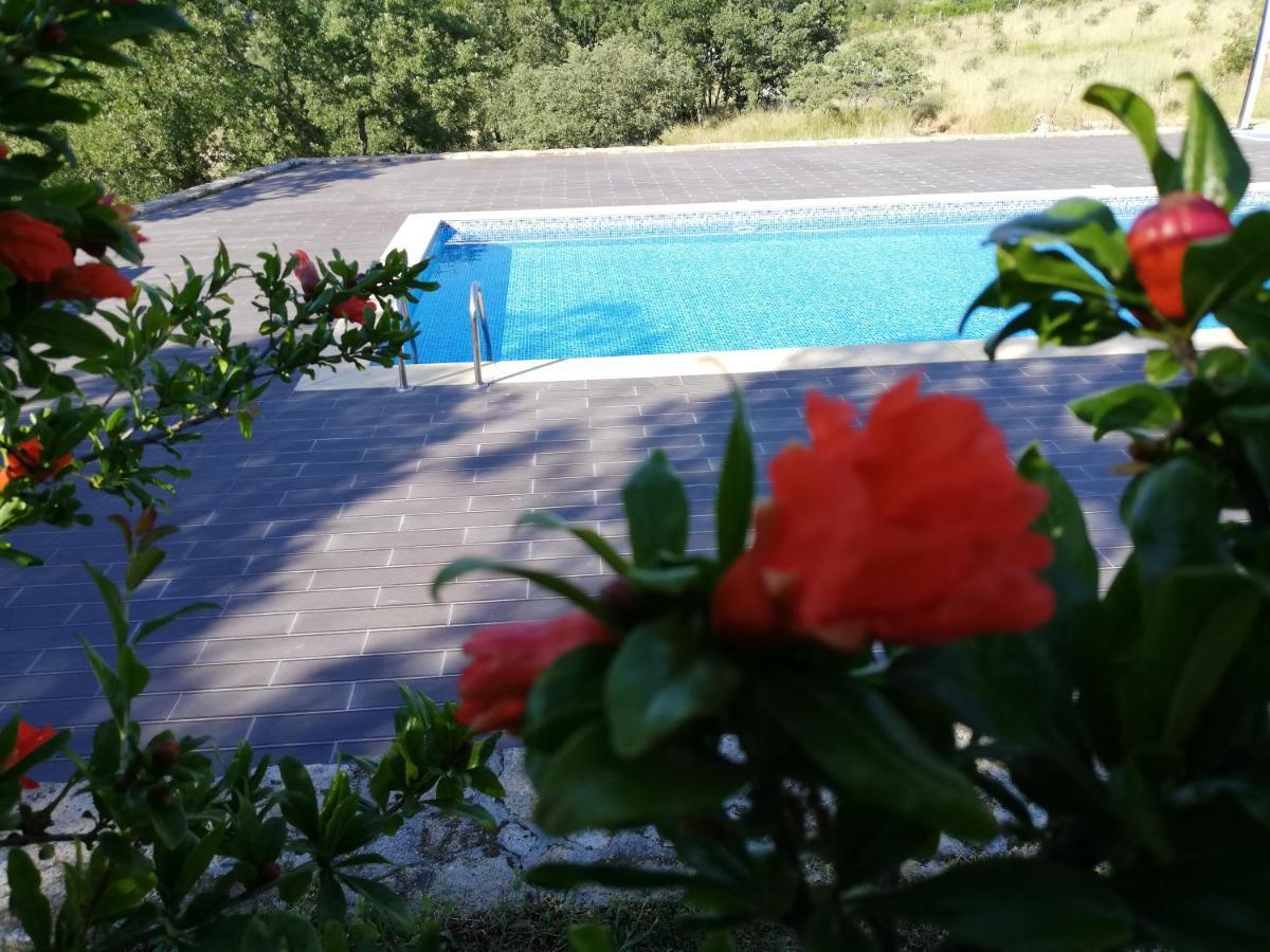 Vakantieboerderij Quinta Dos Carvalhais - Serra Da Estrela *