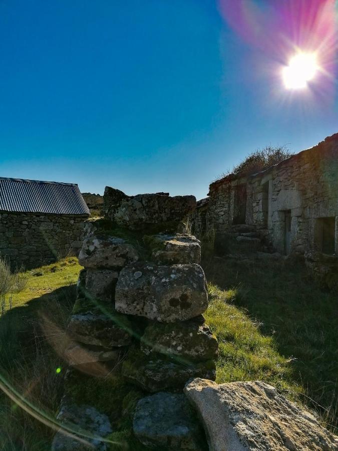 Casa Largo S Lourenco E Casa Da Videira * Mazes