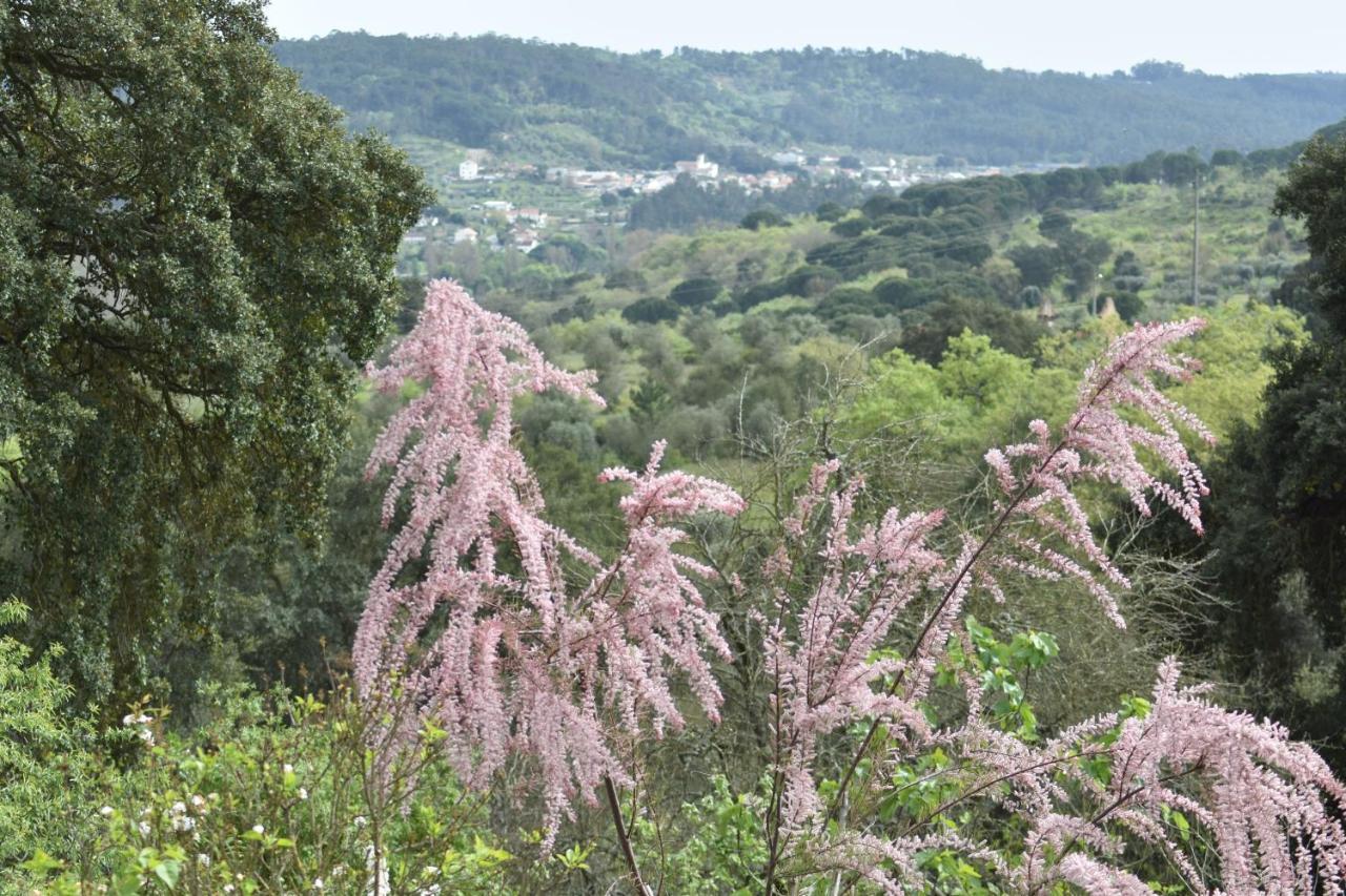 Quinta Da Casa Velha Agroturismo Farm stay
