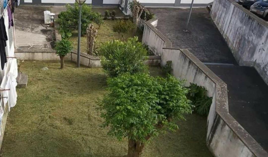 Apartamento Orquídea *