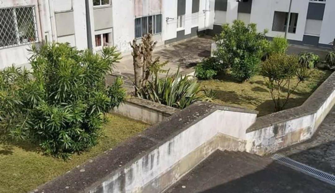 Orquídea