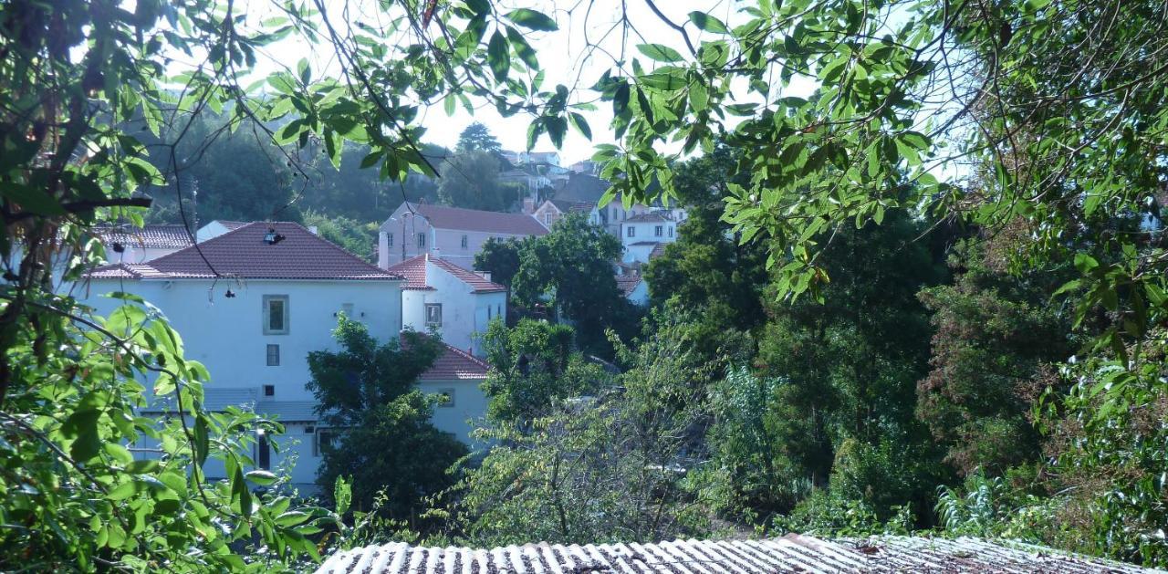 Ribeira Dos Marinheiros Vermelho Apartamento *
