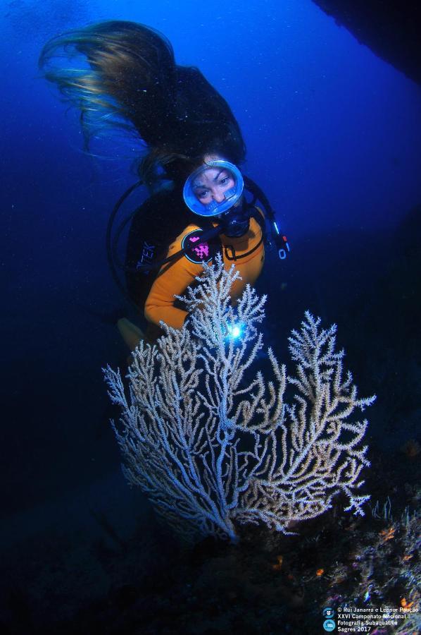 Puravida Divehouse Sagres