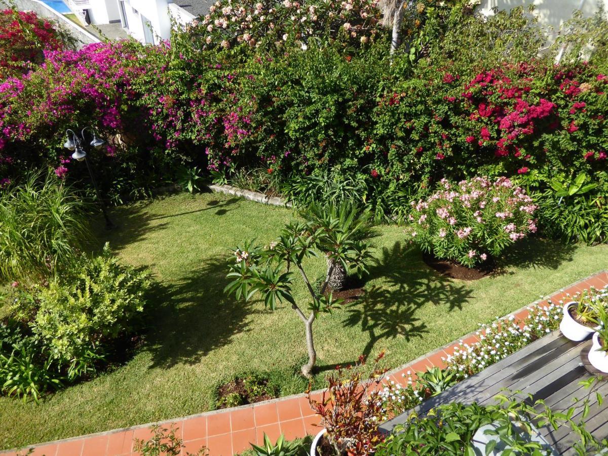 Appartement Erika Madeira