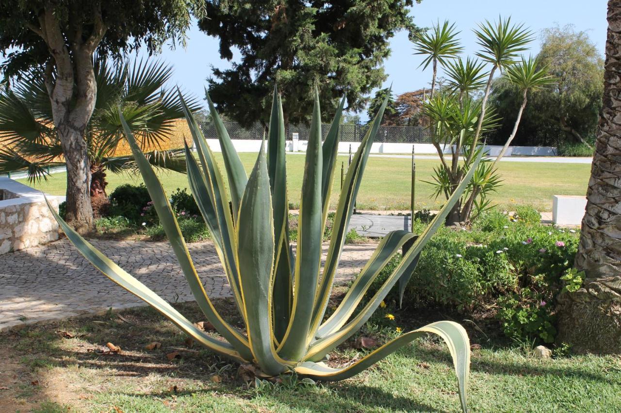 Casa Beachcomber Le Jardin Des Arts Appartement *
