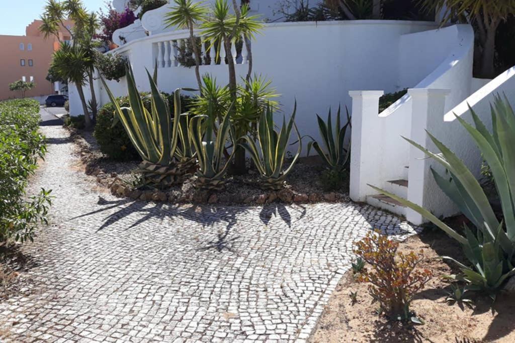 Casa Do Limoeiro Appartement
