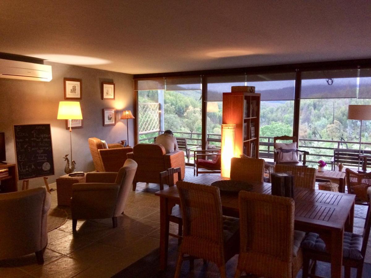 Casa Do Ourico Farm stay