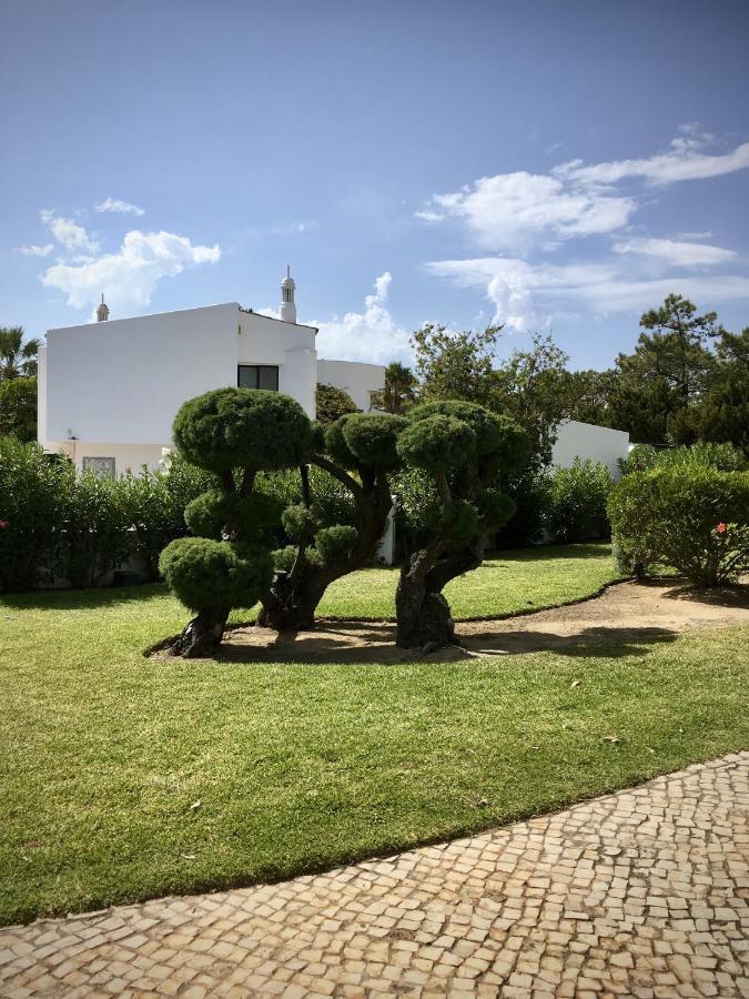 Victory Village T1 & Rooftop Terrace Apartamento