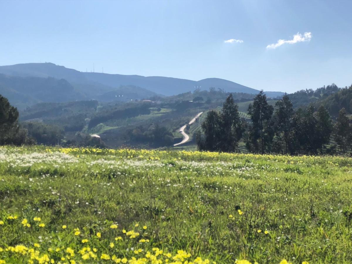 Acomodação com café da manhã  Terra Luso Proche De Montejunto 3*
