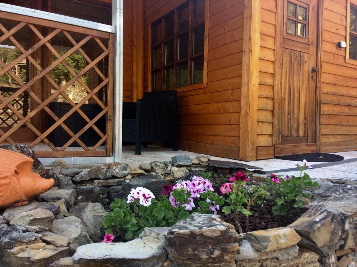 Farm stay Casa Do Ourico *