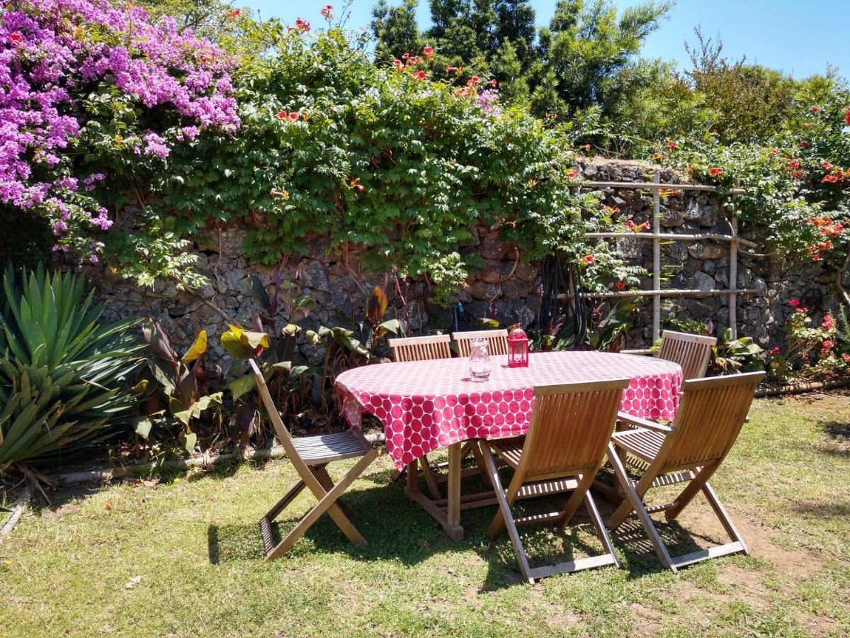 Quinta Glicinias Holiday home *