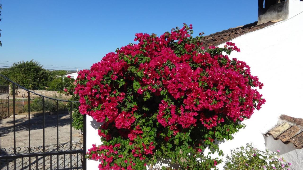 Casa Esperanca - Carefree Living With Big Private Pool And Great Views Villa *