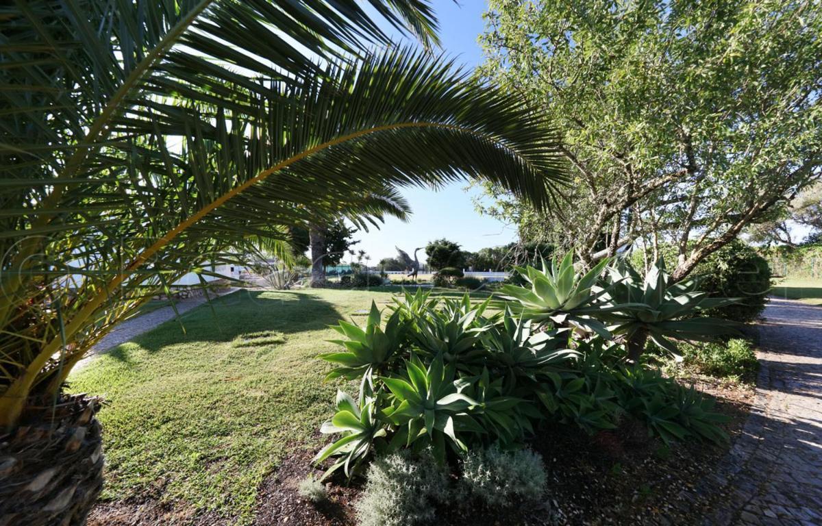 Appartement Casa Beachcomber Le Jardin Des Arts *