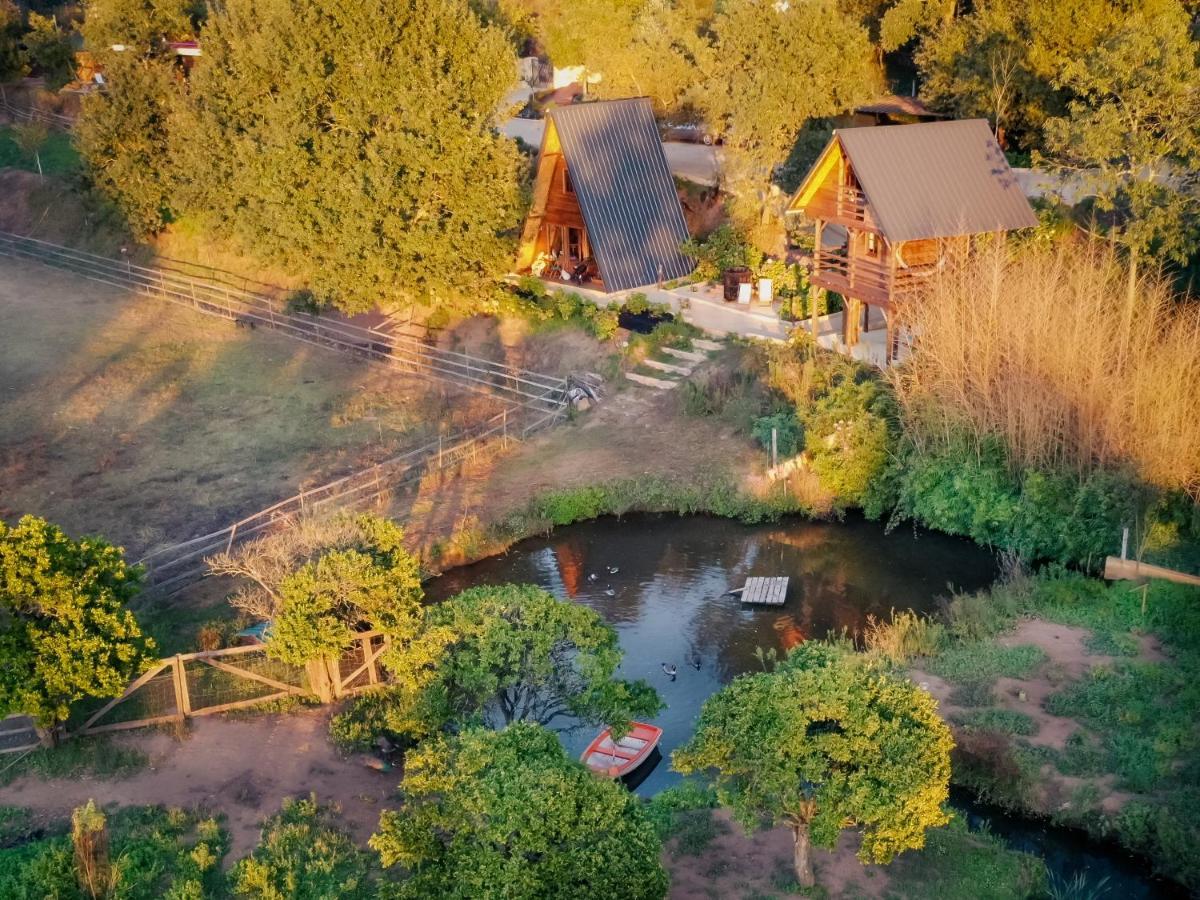 Casa Da Avo - Vale Da Silva Accommodatie bij particulieren Albergaria-a-Velha
