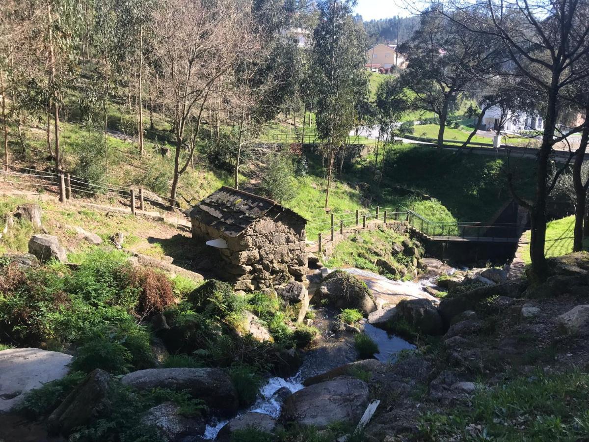 Mira Douro Valley *