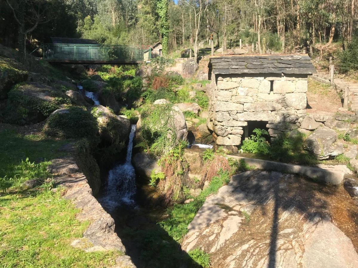 Holiday home Mira Douro Valley *