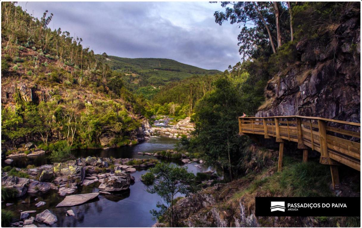 Mira Douro Valley Holiday home