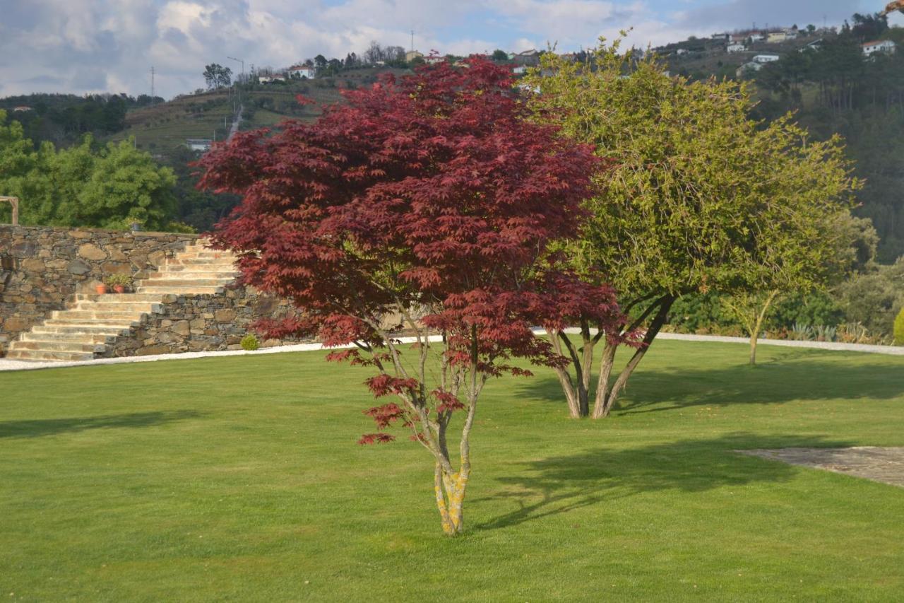 Quinta Da Portelada Holiday home