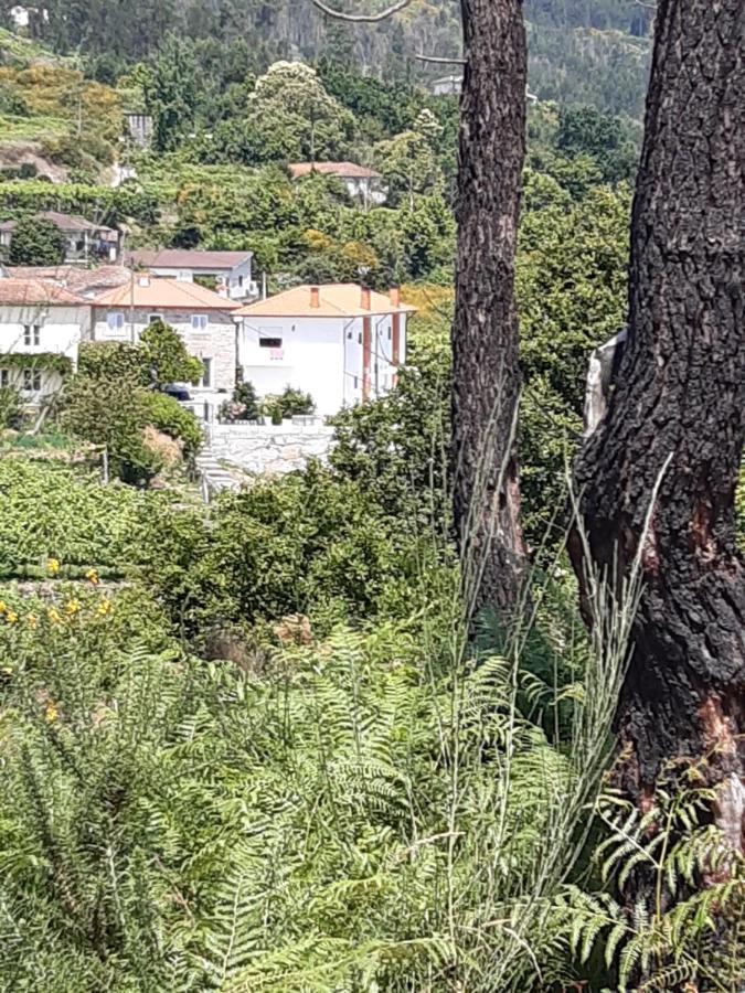 As Casinhas Dos Meus Avos By Quinta Do Paco Gasthuis *