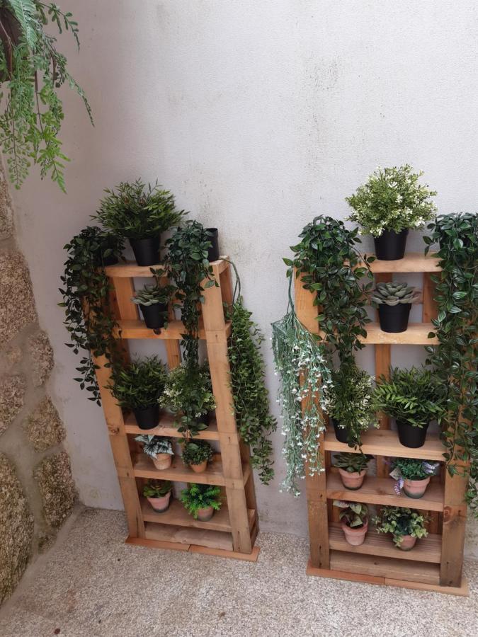 As Casinhas Dos Meus Avos By Quinta Do Paco