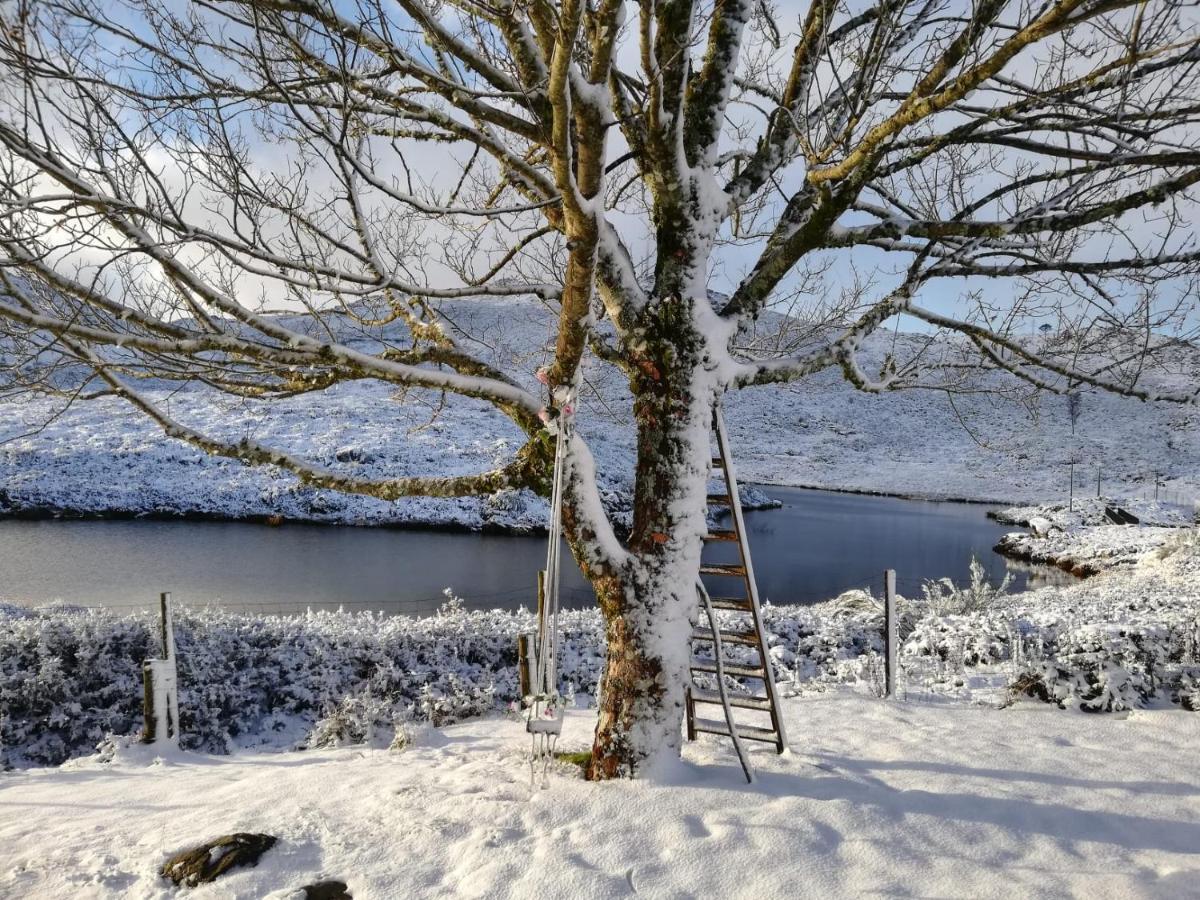 Bed & Breakfast Da Garca Sao Pedro do Sul