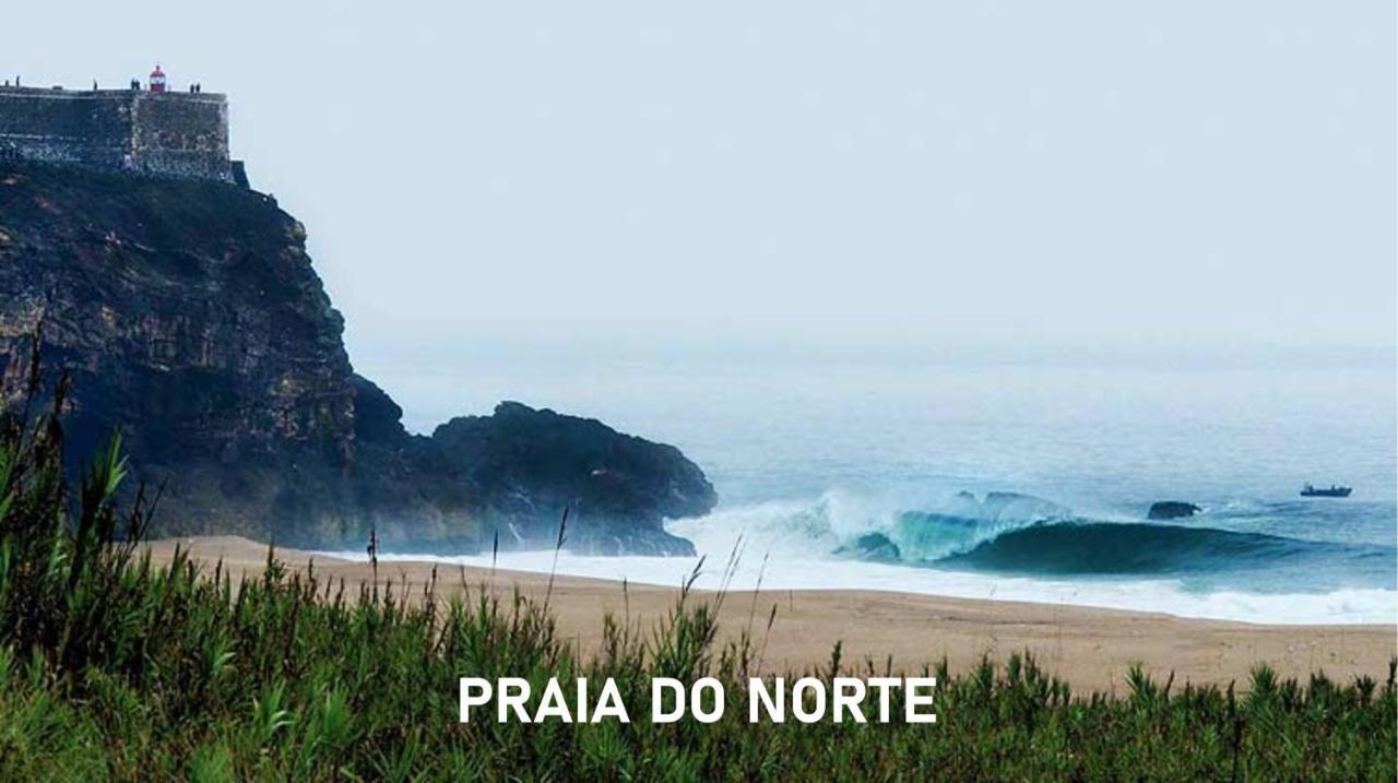 Quinta Da Falca Holiday home Nazare