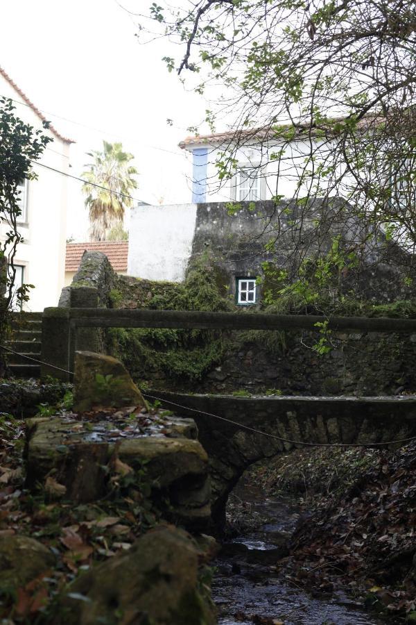 Ribeira Dos Marinheiros Azul Appartement *