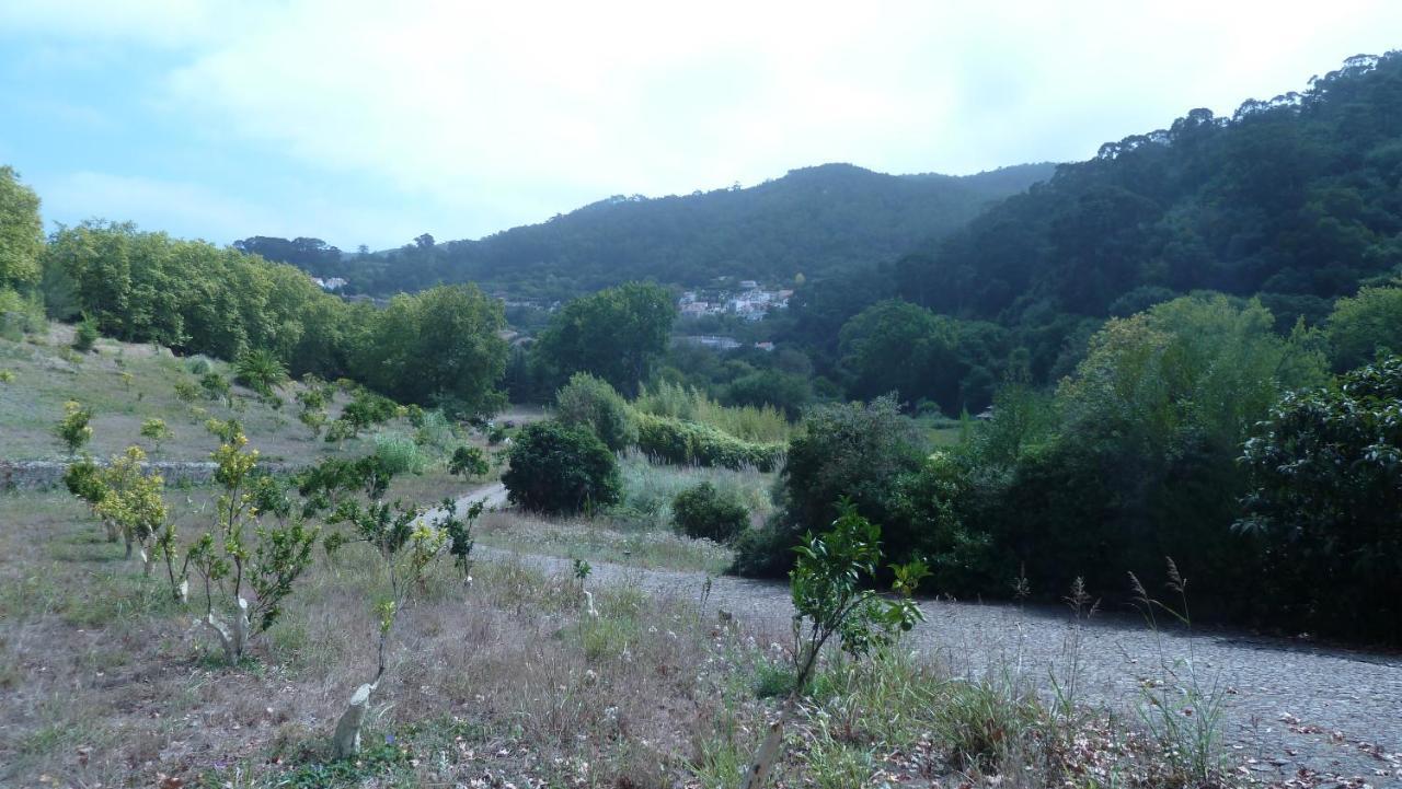 Ribeira Dos Marinheiros Vermelho Apartamento Sintra