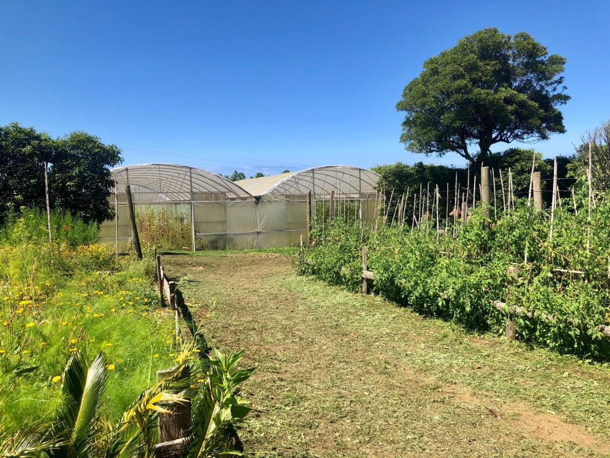 Quinta Dos Sabores Farm Ribeira Grande