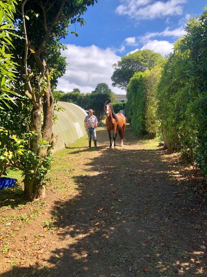 Farm stay Quinta Dos Sabores Farm *