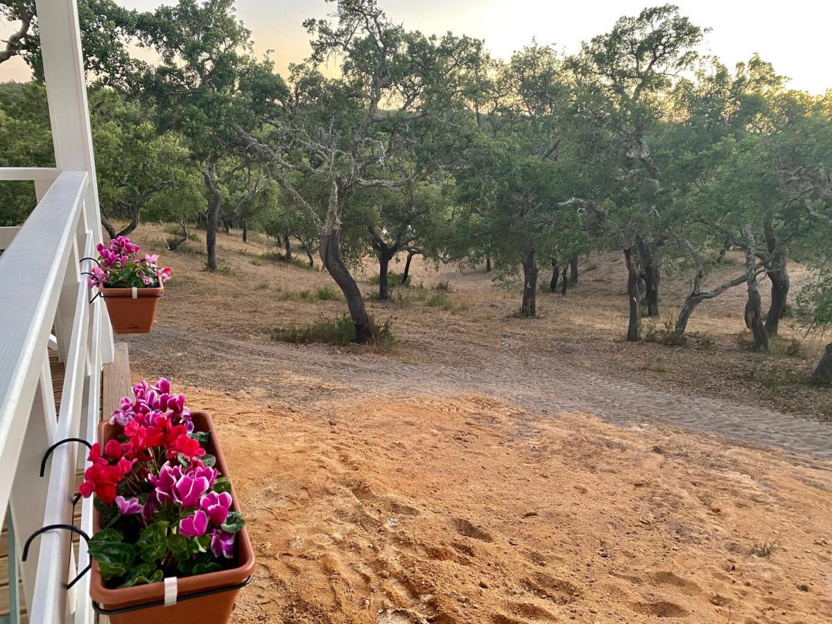 Montum Farm Living