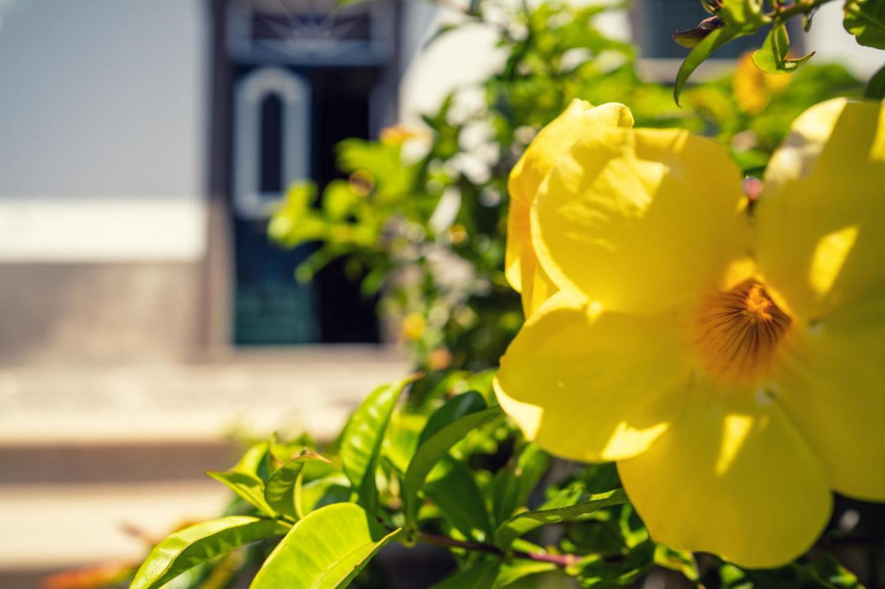Casa Da Cal - By Casas Na Ilha Guest house 3*
