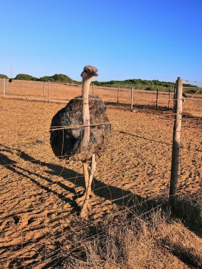 Refugio Do Bem Estar * Cercal do Alentejo