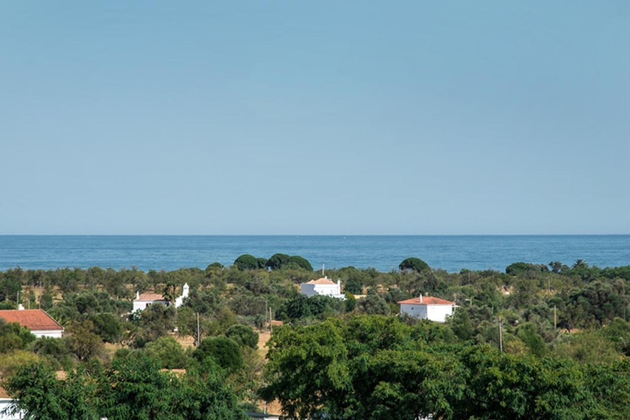 Apartment Markus Tavira