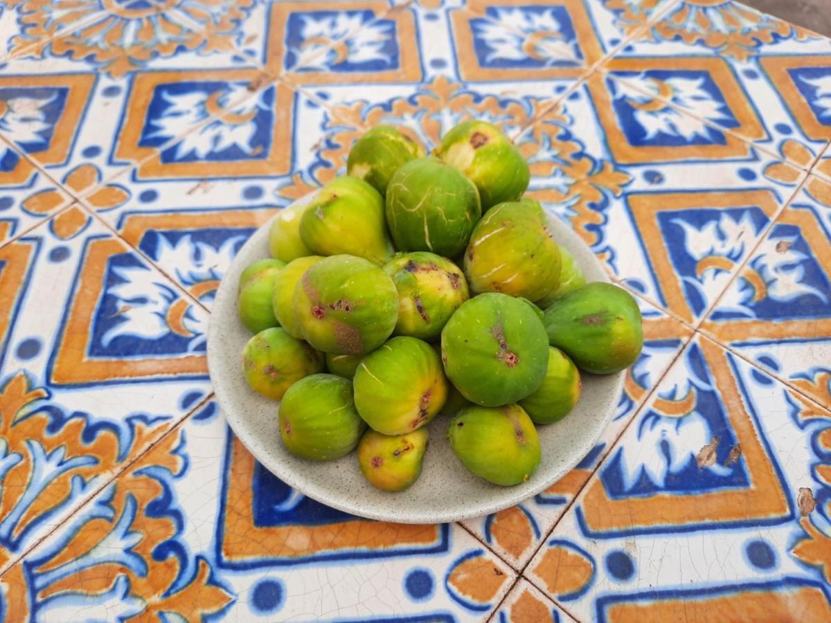 Quintinha Lombas Casa de férias Porto Santo