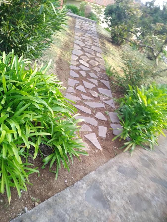 Chalet Do Amparo *