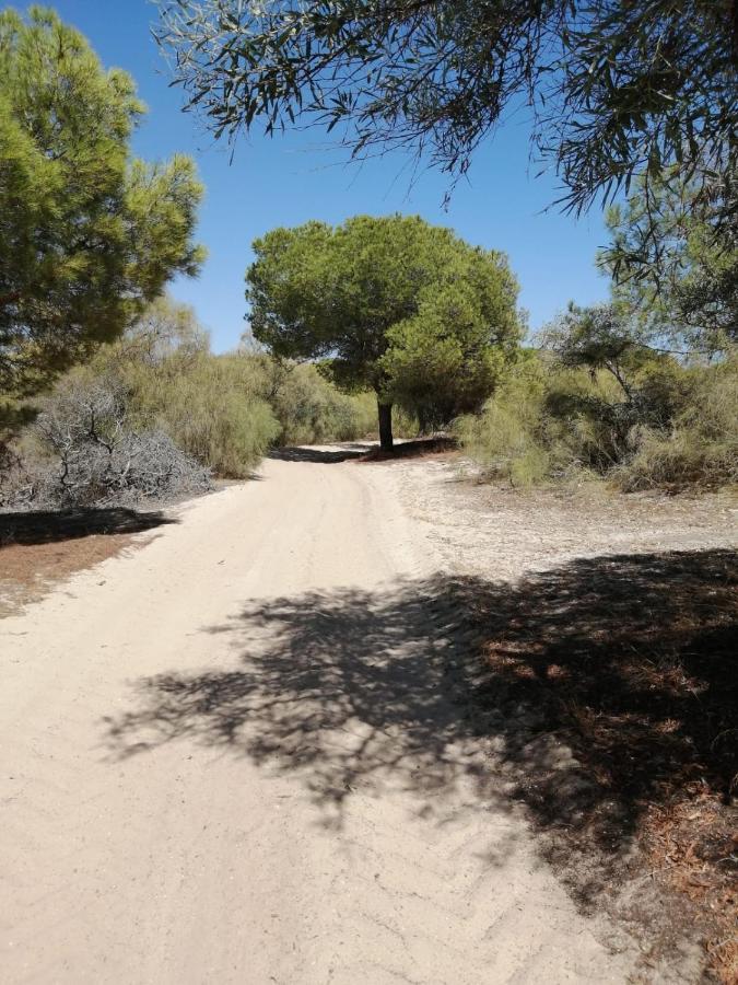Sweet Apartment Tavira