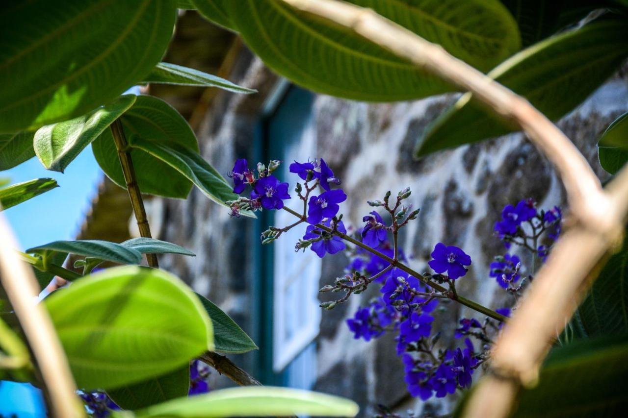 Quinta Dos Frutos *