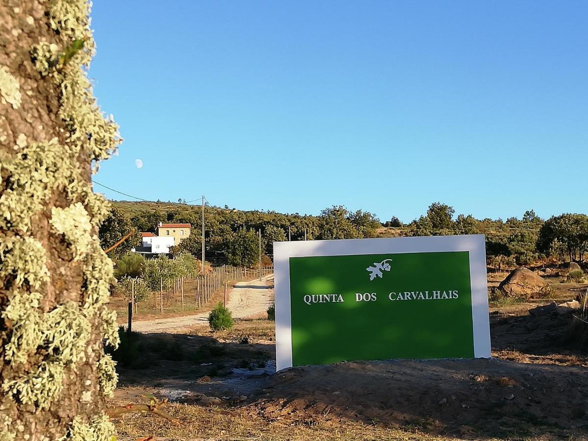 Quinta Dos Carvalhais - Serra Da Estrela Fornos de Algodres