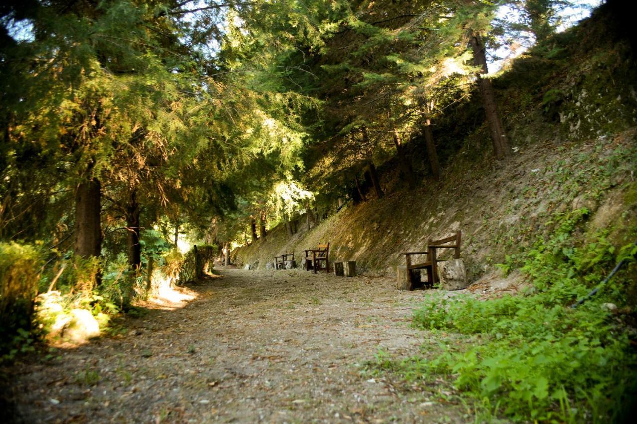 Farm stay Quinta De Barbedo - Canicada