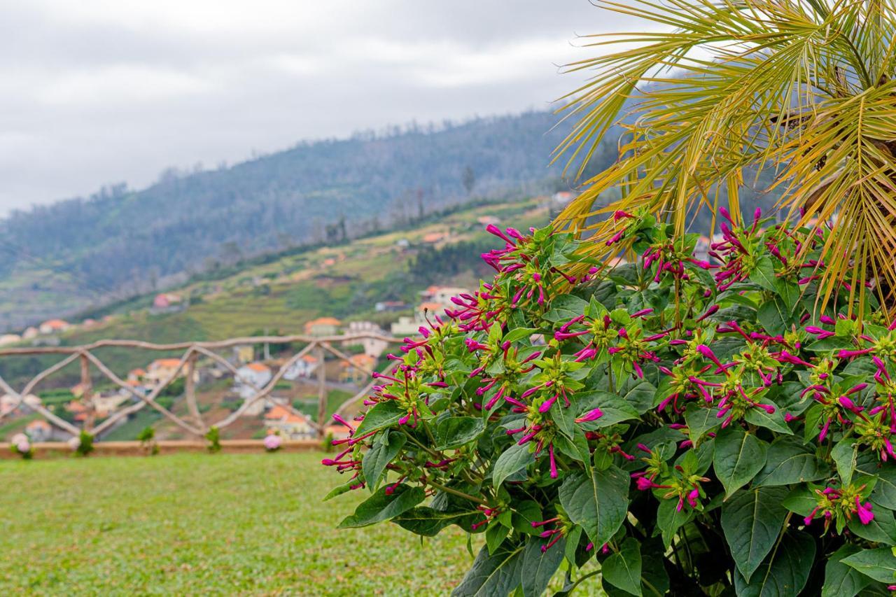Recanto Florencas Holiday home Arco da Calheta (Madeira)