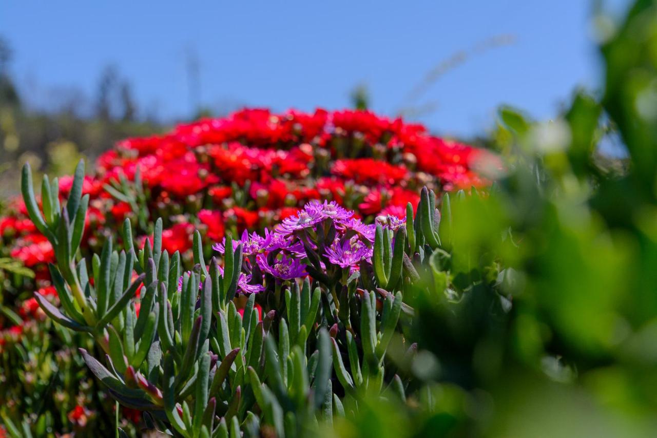 Holiday home Recanto Florencas Arco da Calheta (Madeira)