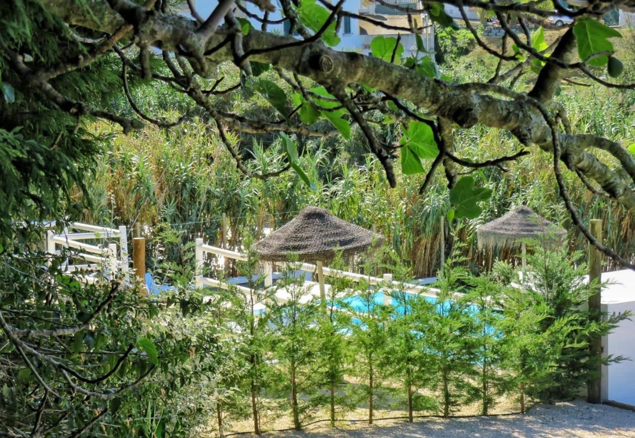 Quinta Alfazemas Chácara Ericeira
