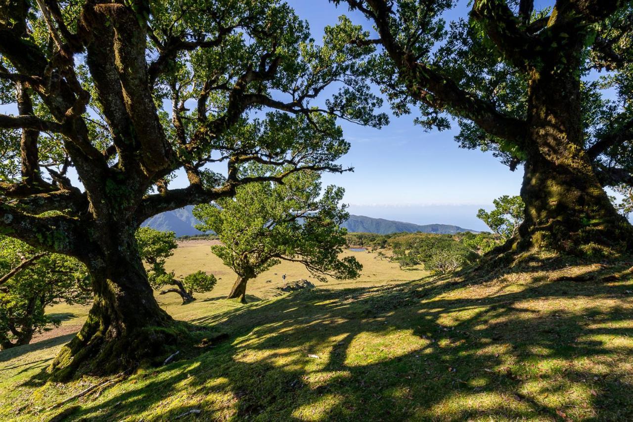 Holiday home Recanto Florencas