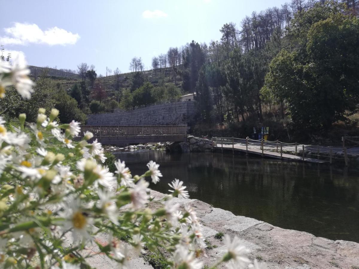 Country house Sambuc'asa - Serra Da Estrela *