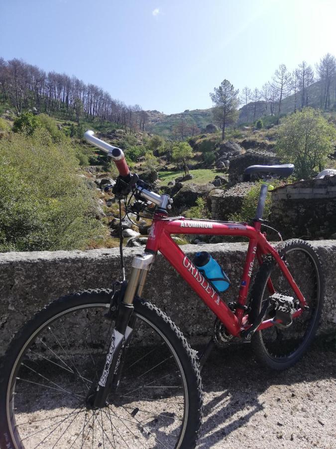 Sambuc'asa - Serra Da Estrela