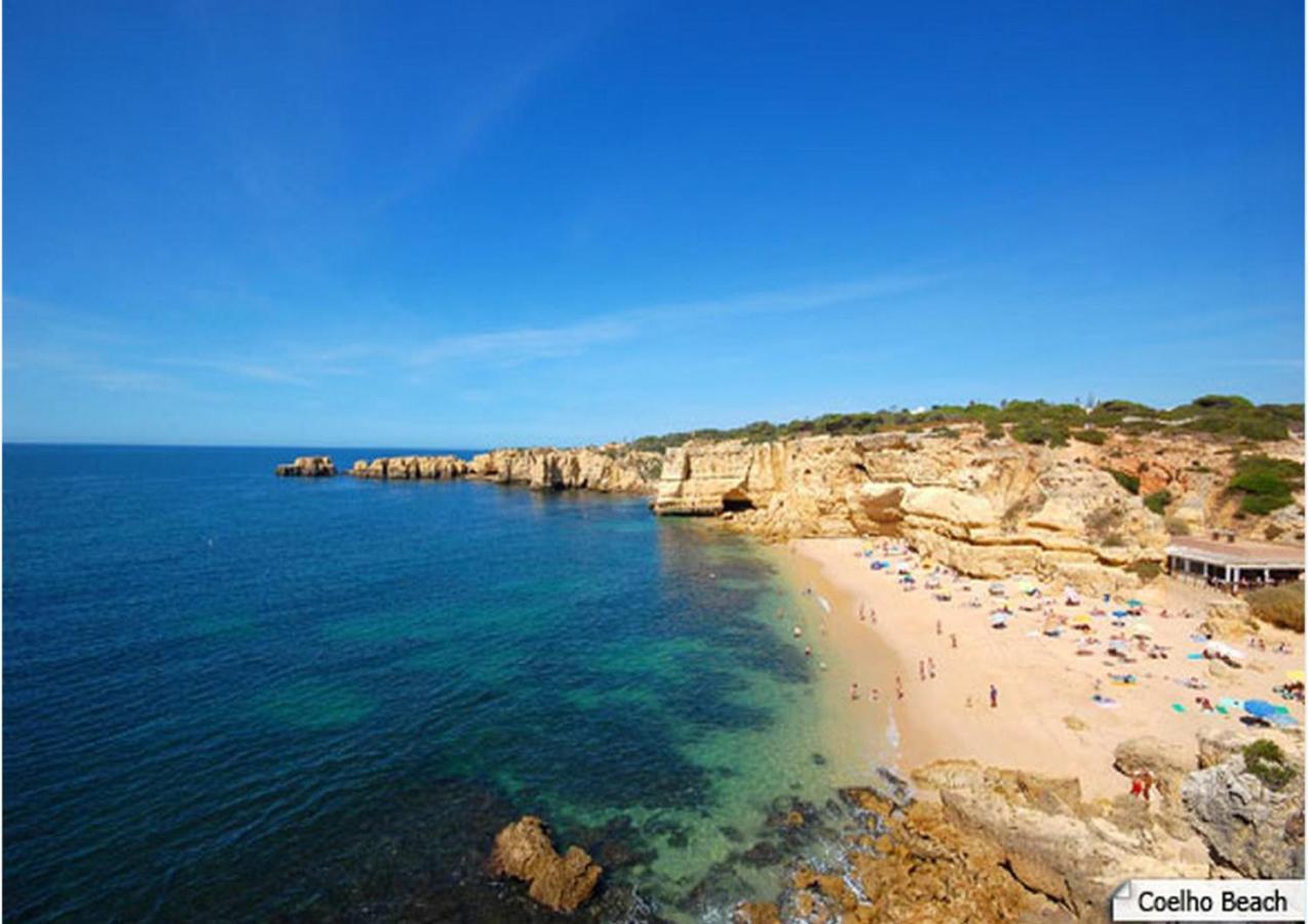 Coelho * Albufeira