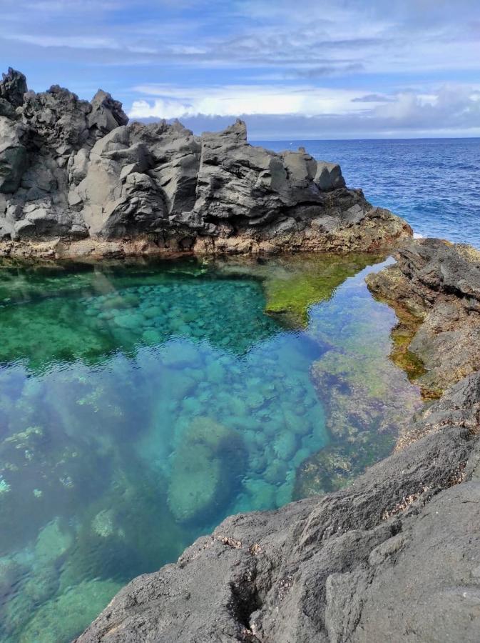 Sea Roots 